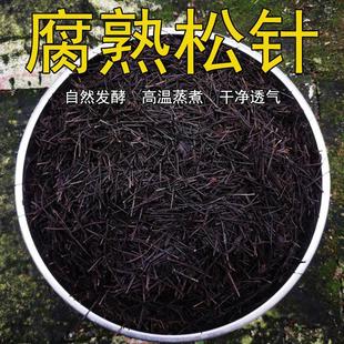 腐熟松针兰花专用松针土无土松针有机腐殖土营养土君子兰腐叶花土