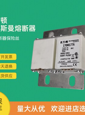 全新快速熔断器保险170M1792 170M1793 170M1794 170M1795