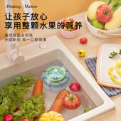 超声波果蔬洗水果蔬菜净化器食材去农残洗