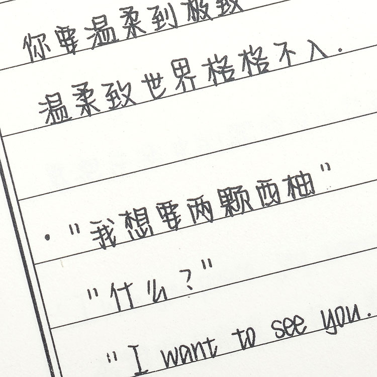 昭亭轩挽鸢体手写字帖女生字体漂亮练字楷书行楷行书男生硬笔书法