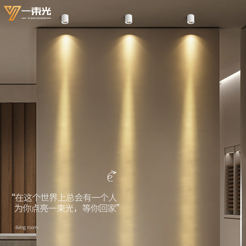 一束光聚光ld明装小角度度客厅过道走廊玄关展柜背景墙,家装灯饰光源,明装射灯,淘宝优惠券,粉丝福利购,淘宝优惠卷