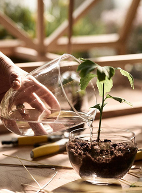 瑞典   微景观罩 苔藓生态瓶