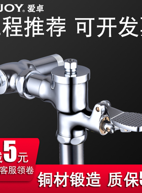 冲水脚踏式脚踩大便门蹲坑自闭式延时厕所冲洗