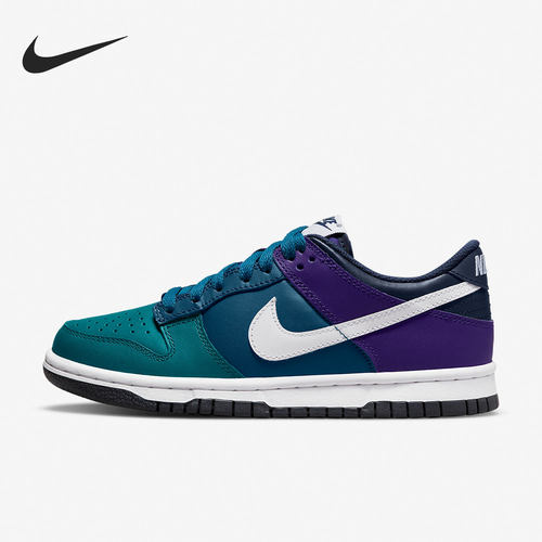 Nike/耐克正品Dunk Low 女子GS大童低帮复古板鞋 DH9765-300
