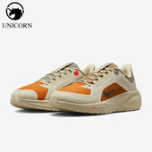 耐克正品 Pegasus 41女士耐磨网眼透气减震跑步鞋 Nike IM6700 852