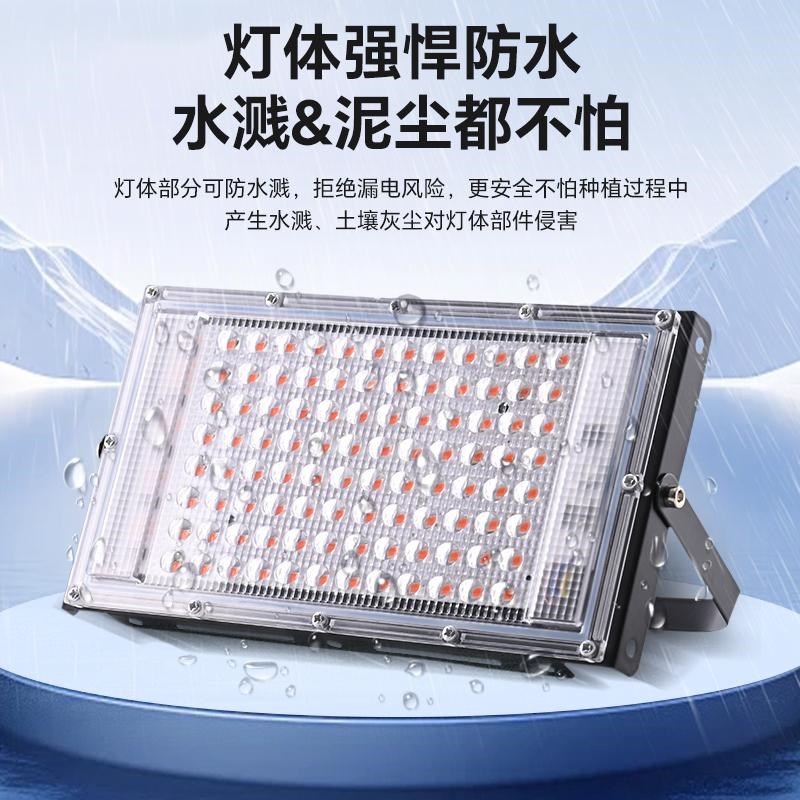 多肉植物补光灯仿太阳全光谱家用上色LED植物室内热植花卉生长灯