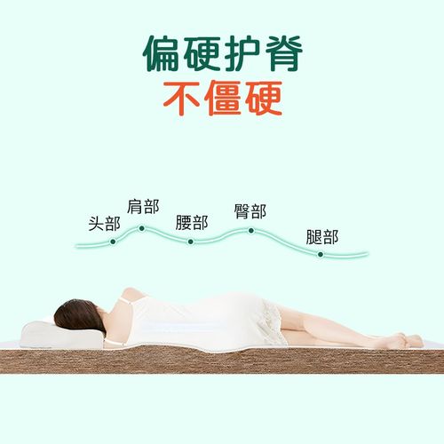 5公分床垫子硬椰棕粽榈天然纯乳胶定制家用卧室学生加厚米2单人
