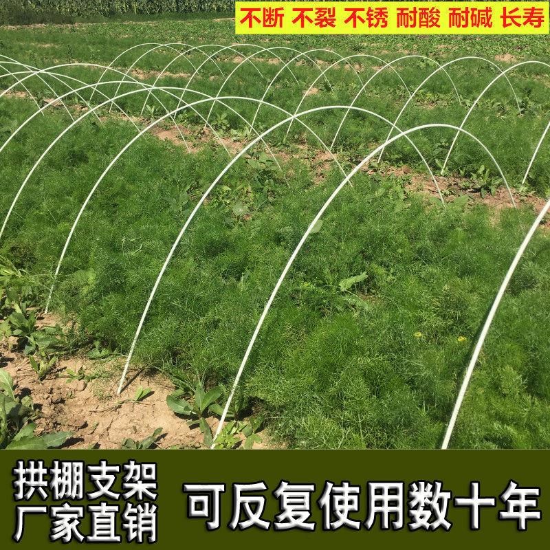 农用小拱棚支架防虫棚纤维棒卷防雨大鹏塑料竿棚内蔬育苗菜棚弯杆图片