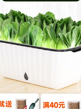 阳台种菜盆自吸水种植箱长方形懒人种葱大塑料花盆蔬菜苗室内专用