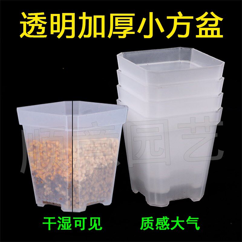 加厚小方透明扦插育苗叶插盆七方多肉花盆套餐盆栽桌面塑料小白方图片