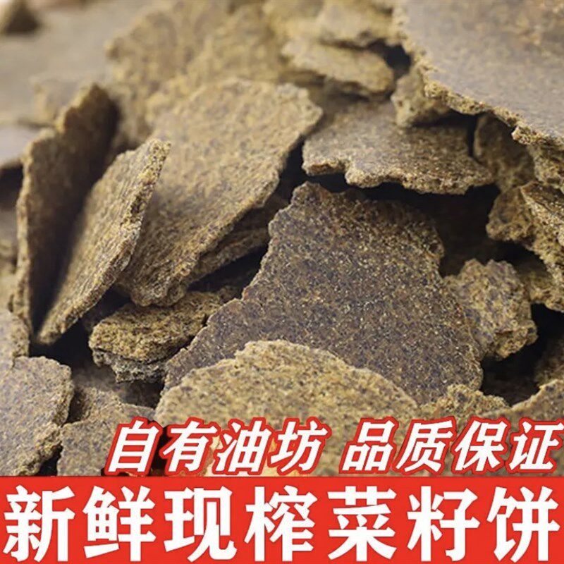 四川现榨油菜籽油渣饼油s渣粉油枯原料钓鱼打窝饵料花树植物肥料