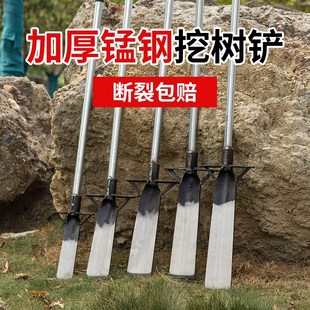 挖树铲洛阳铲植苗工具起苗深坑挖土铁锹锰钢挖坑神器挖沟洞专用锹