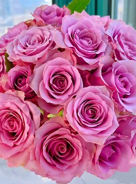 紫霞仙子玫瑰花紫色七夕情人节礼物基地直发室内S插花家用真花水