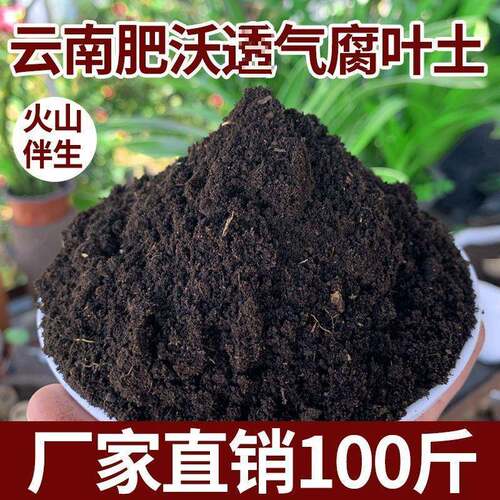 2020腐叶土100斤腐熟通用型营花养土云南透气森林种高营养菜养泥