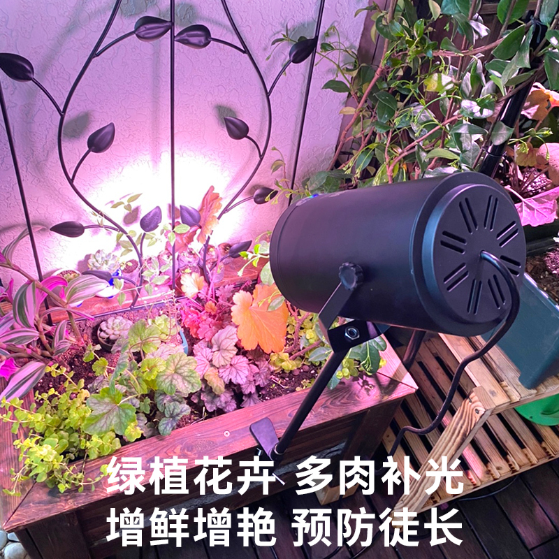 贵翔 多肉上色补光灯室内桌面阳台景观兰花卉LED全光谱植物生长灯
