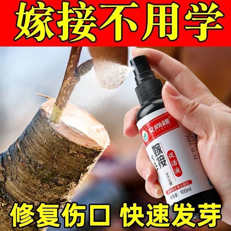 IKEBO树木嫁接伤口愈合剂树枝干盆景绿植树皮涂膜剂果树切口修复