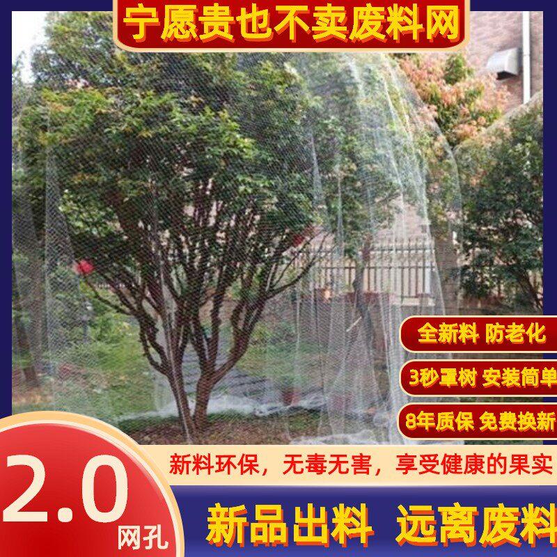 嘉宝果树网果树防鸟用网嘉宝果网罩果园防鸟用网盖树网水果树网罩