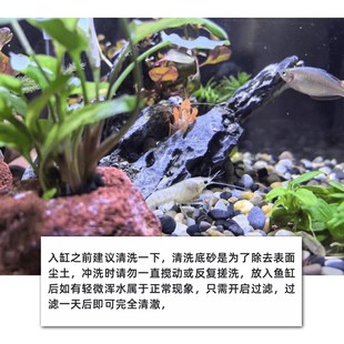 天然溪流石造景青龙石片岩石套餐鱼缸造景生态鱼缸底沙装饰水族用