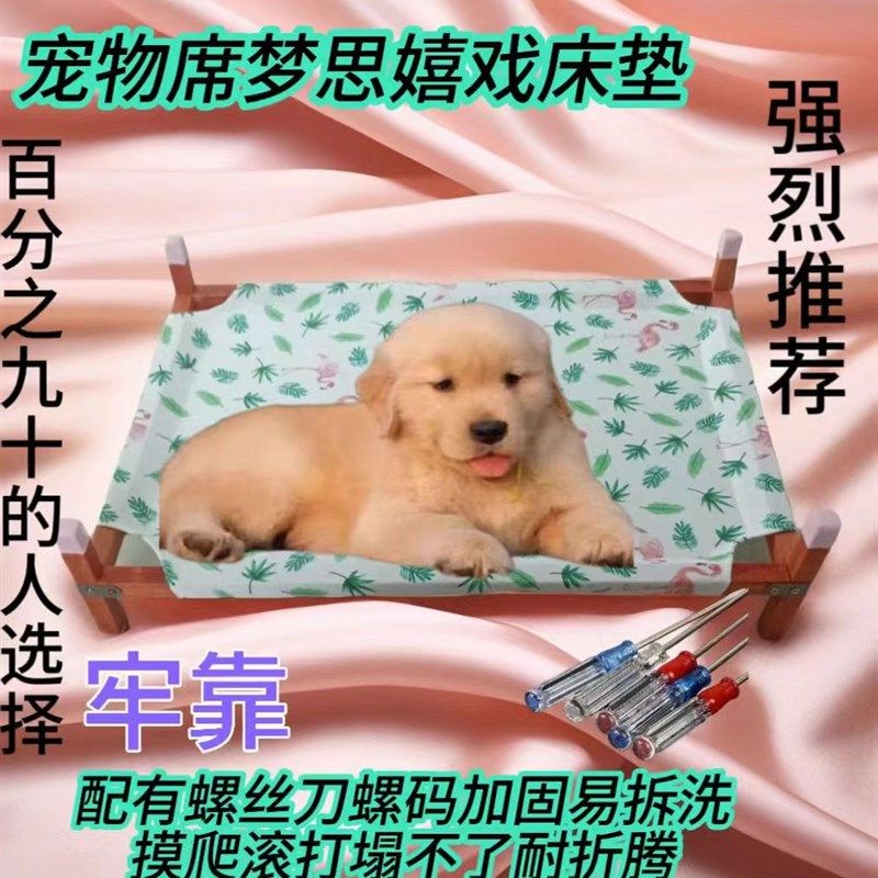 居家夏季宠物床垫席梦思床室内外浴室隔潮防虫离地整洁易拆洗凉垫,宠物/宠物食品及用品,猫窝/屋/帐篷/沙发,淘宝优惠券,粉丝福利购,淘宝优惠卷