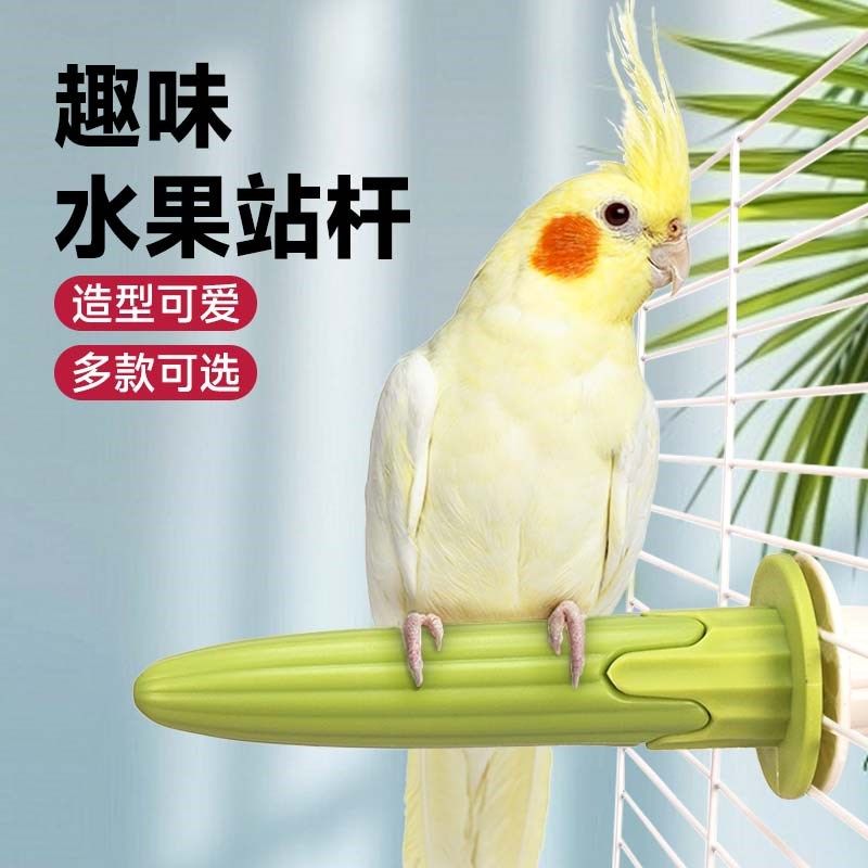 鹦鹉站杆磨爪棒虎皮水果站架玄凤鹦鹉解闷玩具鸟笼配件专用品大全,宠物/宠物食品及用品,鸟禽其他,淘宝优惠券,粉丝福利购,淘宝优惠卷