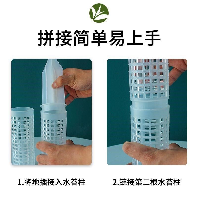 水苔柱拼接爬藤攀附柱热植蔓绿绒绿萝龟背竹攀爬柱固定支架