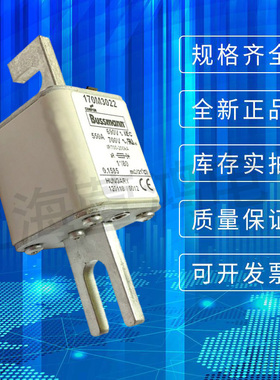 M2 M2 M22 M2umnn 巴斯曼熔断器