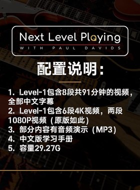 中文 ul Did  Ne l ling l  电吉他系统学习