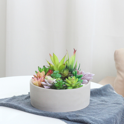 北欧简约多肉花盆肉肉水泥盆器创意个性大口径桌面绿绿植盆栽20CM