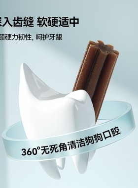 奥丁狗狗零食磨牙棒幼犬耐咬泰迪柯基小型犬洁齿骨除口臭咬胶骨头