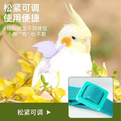 鹦鹉牵引绳外出放飞绳户外遛鸟神器玄凤牡丹超轻不伤脚抱婴袋小鸟