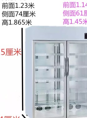 商用酒店快餐便当盒饭菜保温柜立式牛奶热饮柜熟食恒温箱加热大型