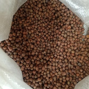 20斤装农家精品枫豆麻豌豆麻豆鸽粮赛飞信鸽粮食鸟食配料包邮