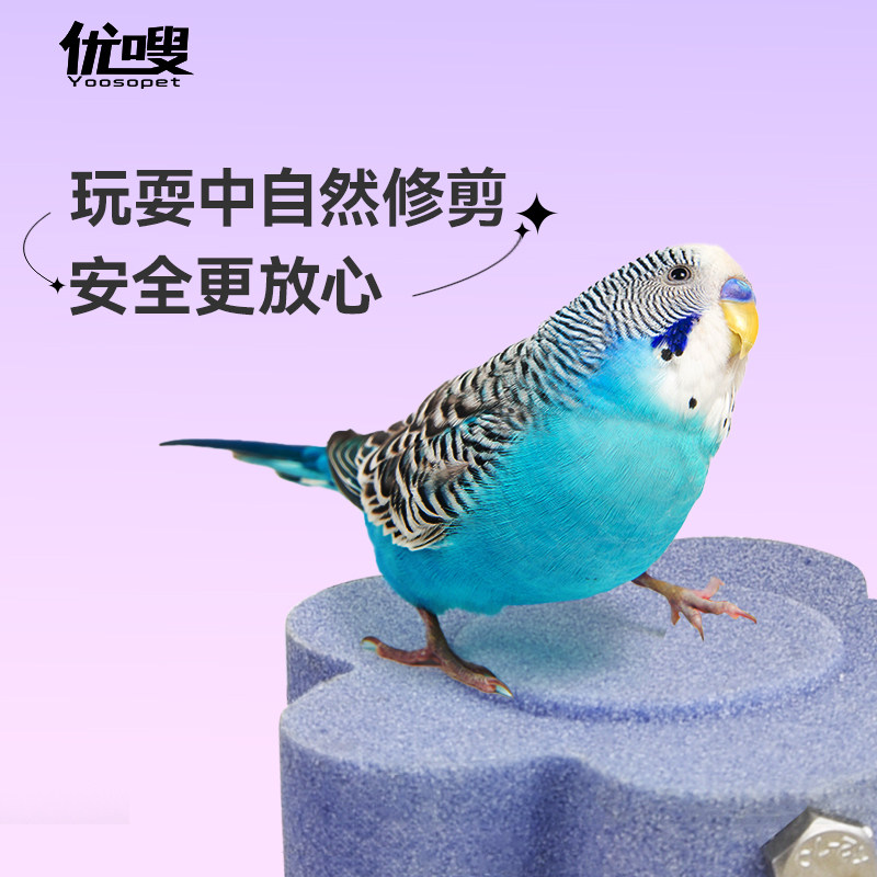 优嗖鹦鹉跳台站台鸟玩具磨砂不掉沙啃咬磨嘴磨爪仓鼠小宠花朵圆台,宠物/宠物食品及用品,鸟玩具,淘宝优惠券,粉丝福利购,淘宝优惠卷
