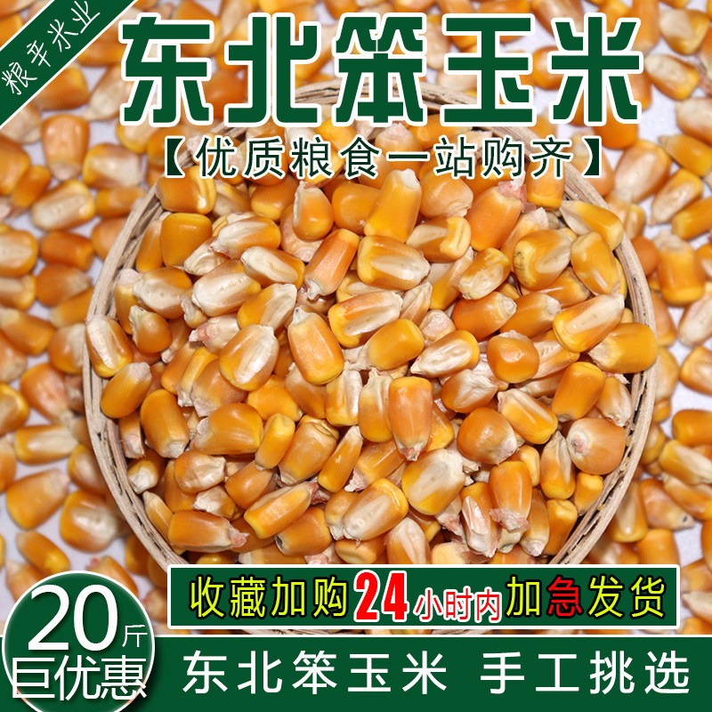 东北农家玉米玉米粒 大粒干玉米酿酒喂鸽子粮杂粮新鲜斤装