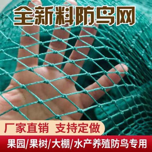 养鸡网防护网养殖安全网塑料网隔离网拦鸡网尼龙网家禽围栏网拦鸡