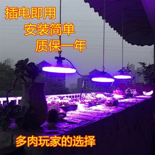 锘铧 多肉灯补光灯生长灯 多肉 全光照育苗ld灯家用