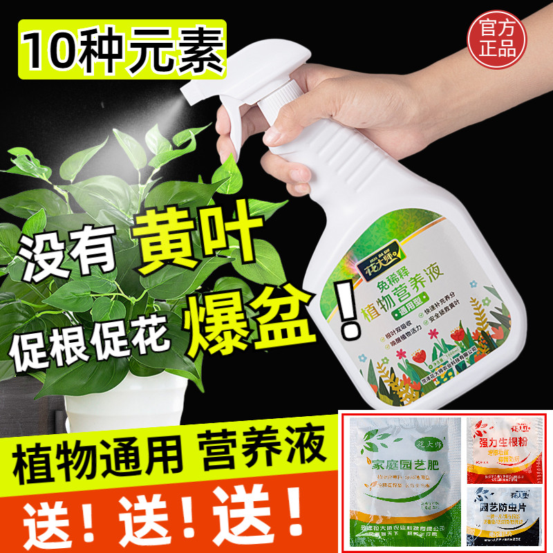营养液植物通用型花肥料发财树水培富贵竹绿萝叶面喷施免稀释盆栽