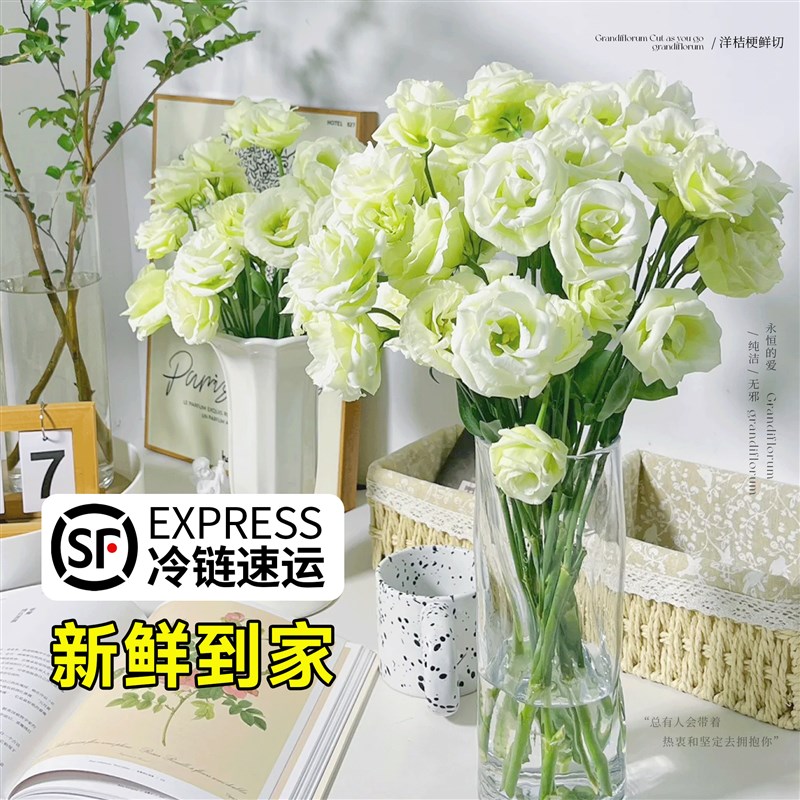 洋桔梗鲜花花束重瓣云南鲜花基地直发白紫色洋桔梗水养插花鲜切花