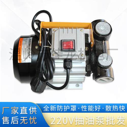 电动交流抽柴油机油泵YB60550W大流量220V电动机