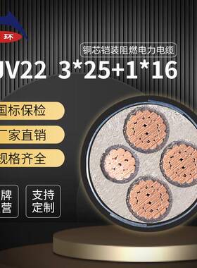 天环电缆ZC-YJV223*25+1*16低压动力铠装电缆阻燃电缆