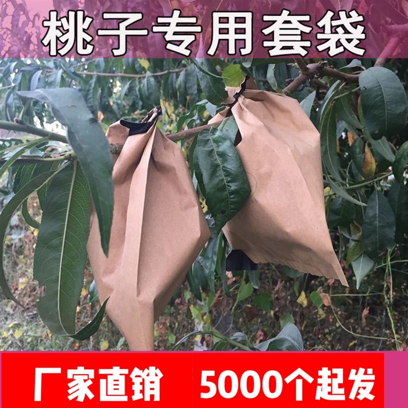 桃子专用套袋水蜜桃套袋黄桃袋桃子纸袋蟠桃袋子冬桃套袋桃子套袋