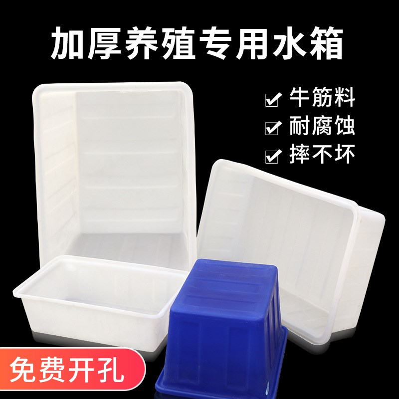 36Y7加厚牛筋水箱塑料桶方桶长方形大容量养鱼卖鱼养殖家用储水大