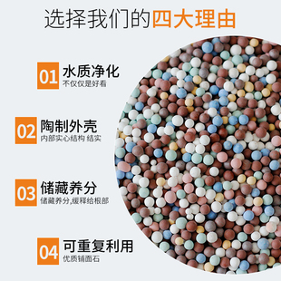 彩色陶粒垫底花用铺面石多肉盆栽透气养花水培陶粒鱼缸花盆营养土