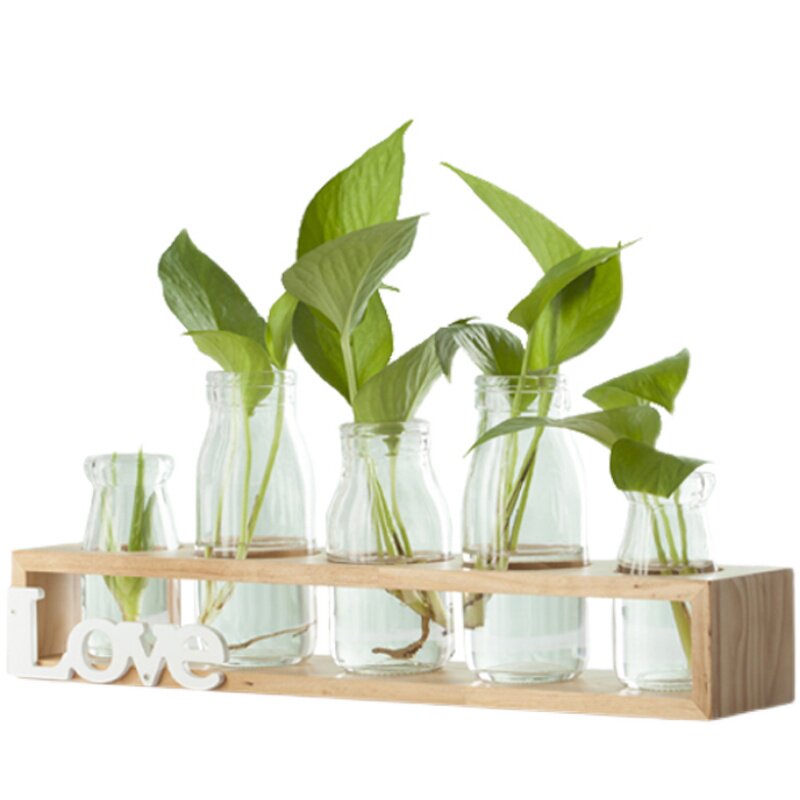 实木桌面绿植水培花瓶绿萝植物玻璃容器客厅书房摆件木架居家装饰