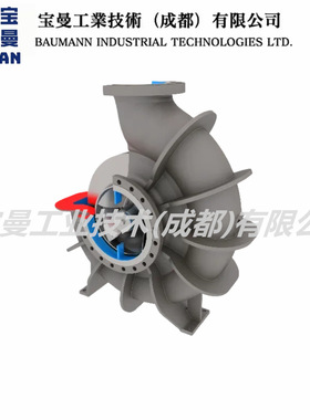 全新FLOWSERVE福斯DS-RO单级端吸脚装泵工业流程泵应用海水淡化
