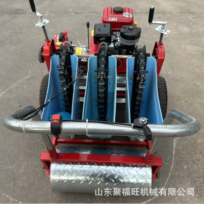 不伤蒜种手推式播种机 电动大蒜三行种植机 四轮牵引大蒜播种机