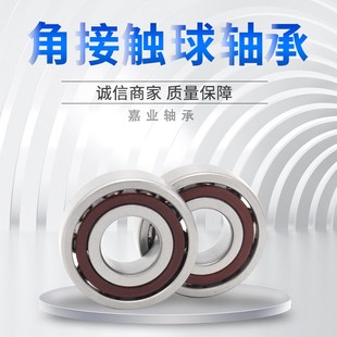 719 哈尔滨微型角接触高速轴承719