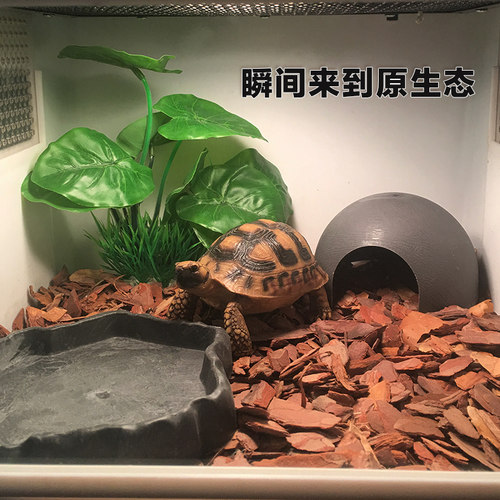 包邮红松树皮颗粒爬虫陆龟树皮垫材蜥蜴蛇蟒守宫爬箱天然造景底材