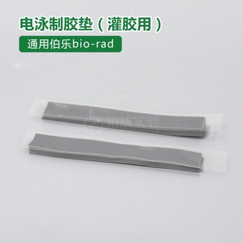 伯乐 电泳仪匹配电泳灌胶用密封条制胶封条制胶垫