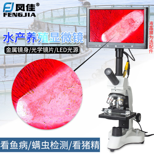 凤佳学生显微镜兔牛猪精工授精藻类畜牧水产养殖螨虫科学实验